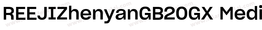 REEJIZhenyanGB20GX Medium字体转换